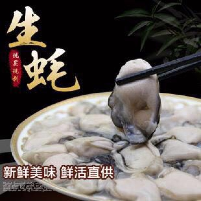 生蚝肉牡蛎肉海蛎子肉40个/500g