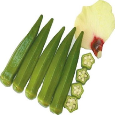 黄秋葵6~8cm