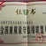 【推荐】茭白种苗美人茭白苗产地直供一手货源全国发货