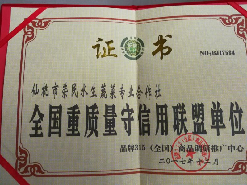 【推荐】茭白种苗美人茭白苗产地直供一手货源全国发货