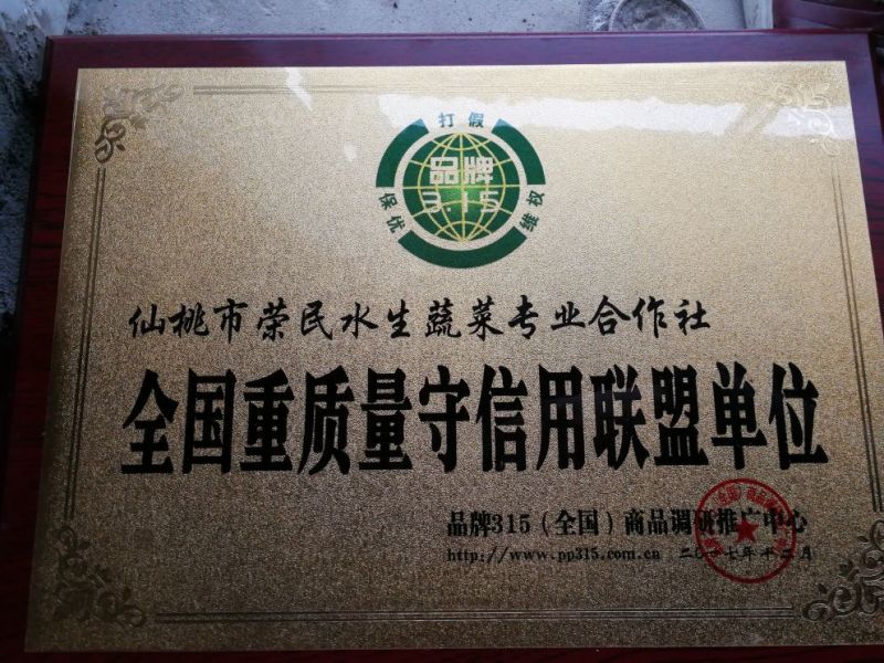 【推荐】茭白种苗美人茭白苗产地直供一手货源全国发货