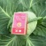 韩绿甘蓝0.5~1公斤，供应精品甘蓝，通货，加工厂用