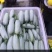 香瓜1.5斤以上