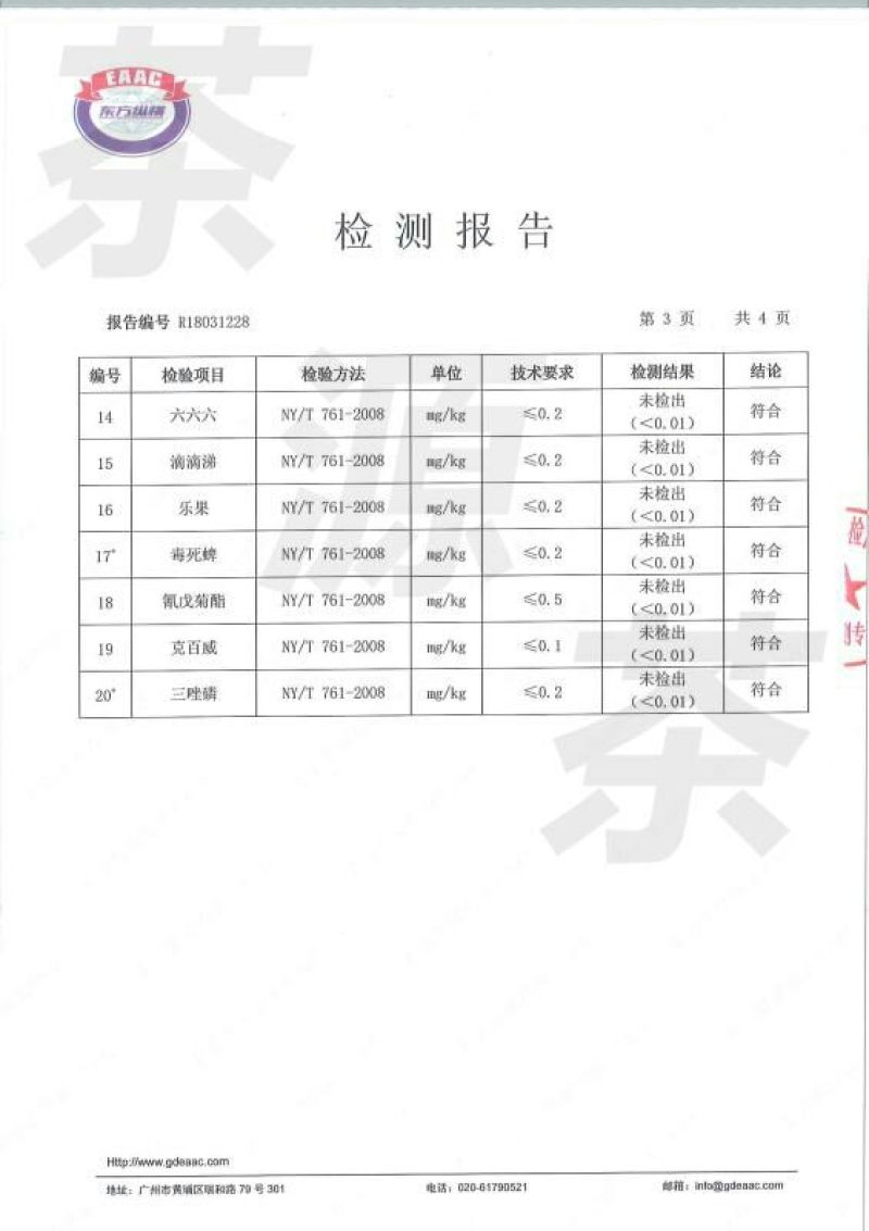 金丝皇菊茶特级