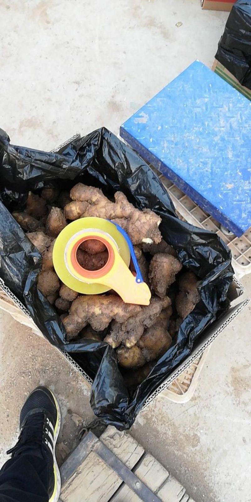 生姜4两以上带土