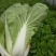 黄心白菜净菜1~2斤