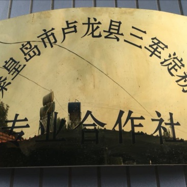 【精品】红薯淀粉袋装工厂货源直发价格优惠欢迎合作