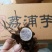 正宗荔浦芋头种槟榔香芋种苗供应