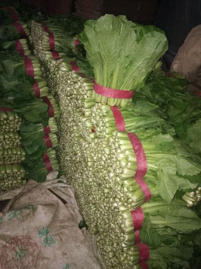小白菜一手货源产地直发价格公道，保质保量