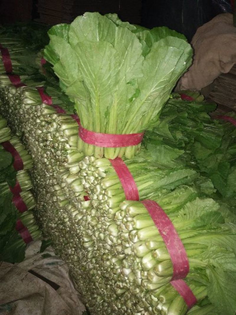小白菜一手货源产地直发价格公道，保质保量