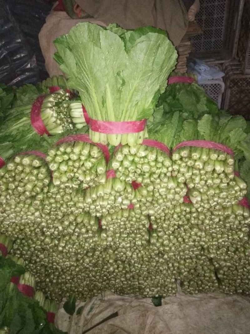 小白菜一手货源产地直发价格公道，保质保量