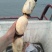 莲藕37355~7厘米5~10厘米以上