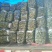 黑油亮黄瓜鲜花带刺25公分以上品质好质量优
