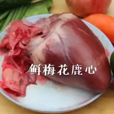 鹿心梅花鹿鲜鹿心梅花鹿干鹿心