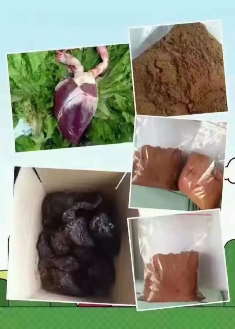 鹿心梅花鹿鲜鹿心梅花鹿干鹿心