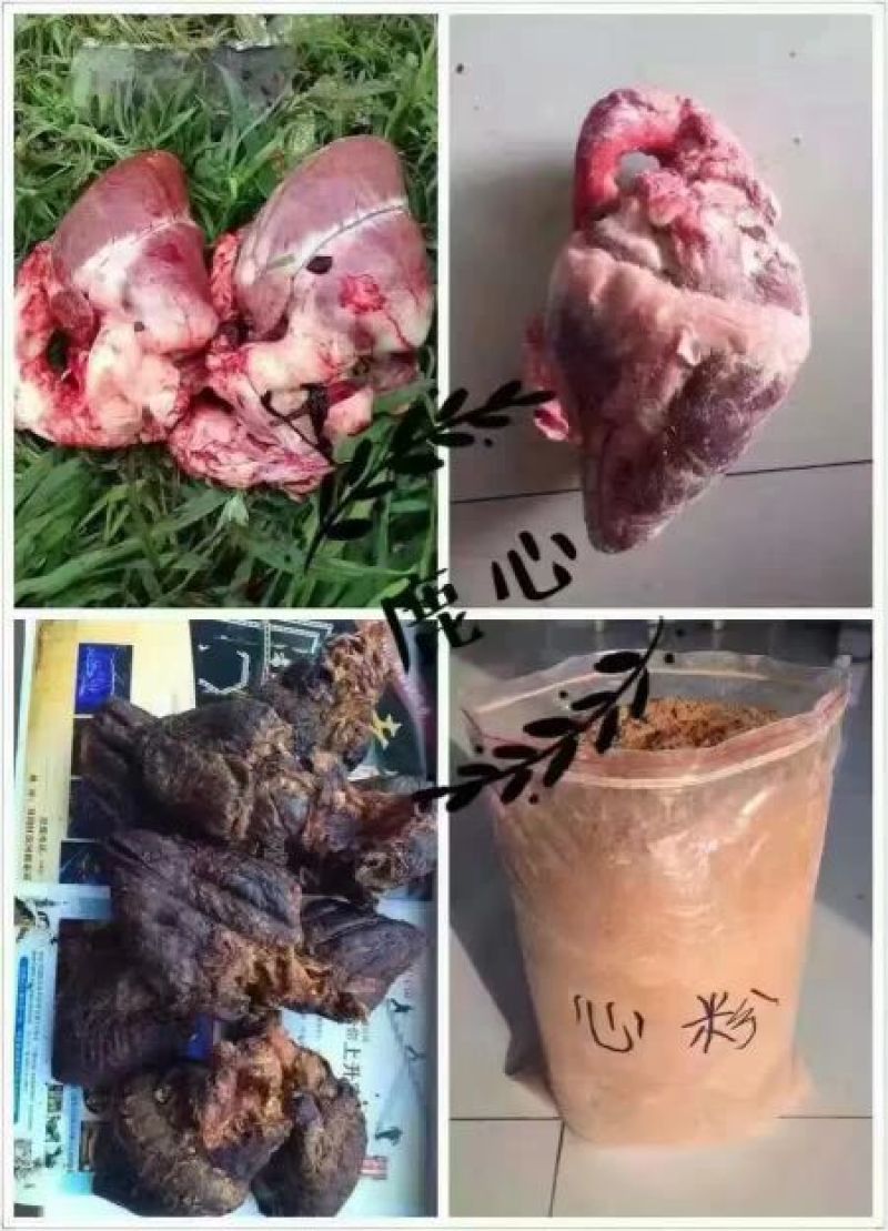 鹿心梅花鹿鲜鹿心梅花鹿干鹿心
