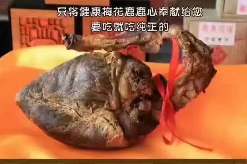 鹿心梅花鹿鲜鹿心梅花鹿干鹿心