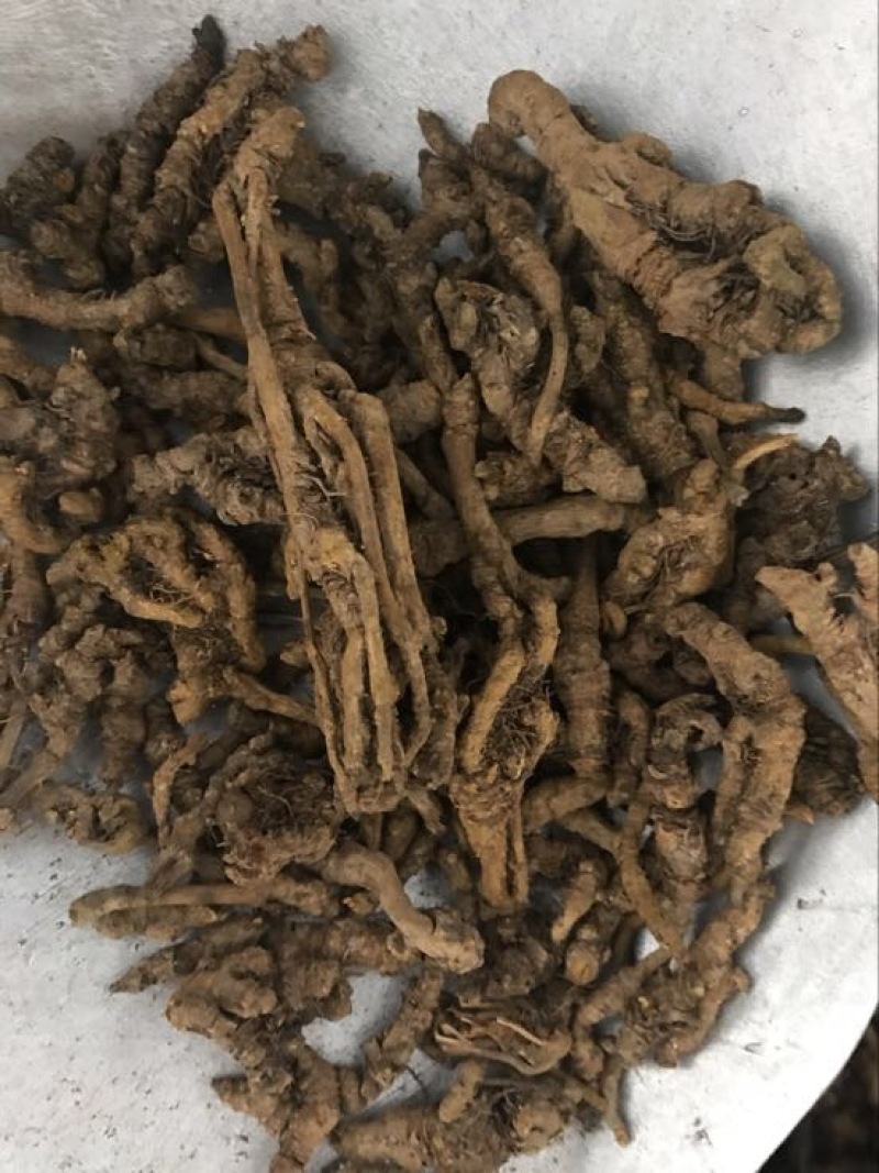 黄莲