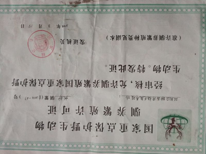 鹿心梅花鹿鲜鹿心梅花鹿干鹿心