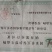 鹿鞭梅花鹿鲜鹿鞭大公鹿鞭