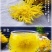 皇菊茶金丝皇菊20克罐装菊花茶叶