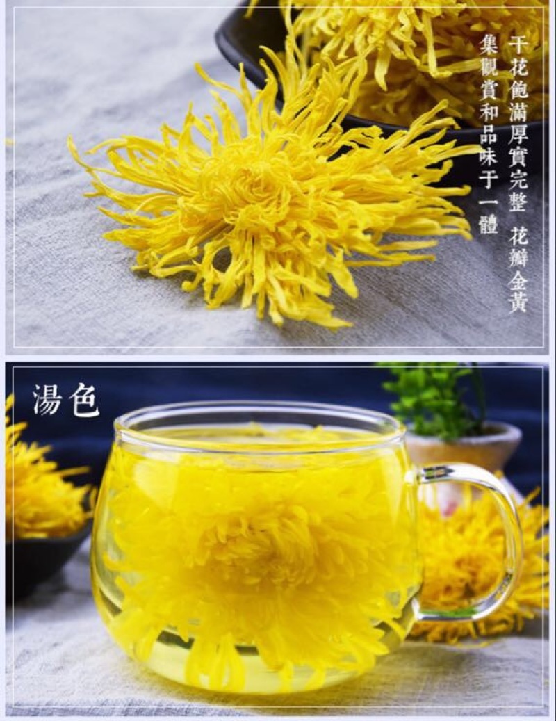 皇菊茶金丝皇菊20克罐装菊花茶叶