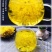 皇菊茶金丝皇菊20克罐装菊花茶叶