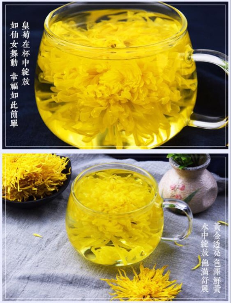 皇菊茶金丝皇菊20克罐装菊花茶叶