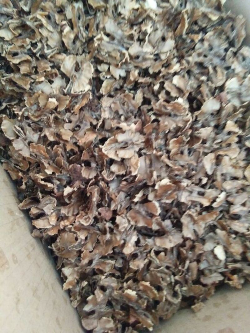 产地直发云南漾濞县核桃分心木50元一箱，净8斤包邮