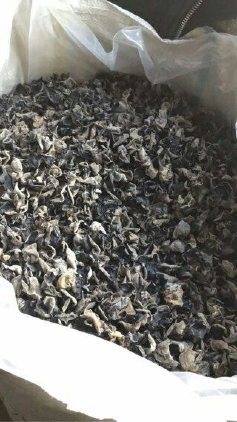 木耳特级！包邮到家！精选木耳！品质优良！按时发货！