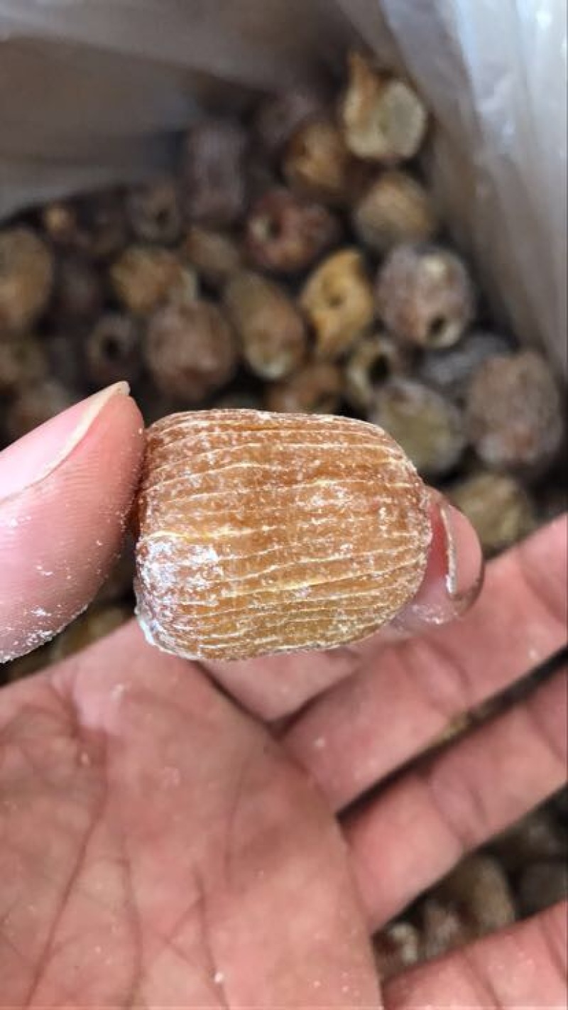 蜜枣无核硬蜜软蜜阿胶