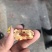 和田大枣二级干枣