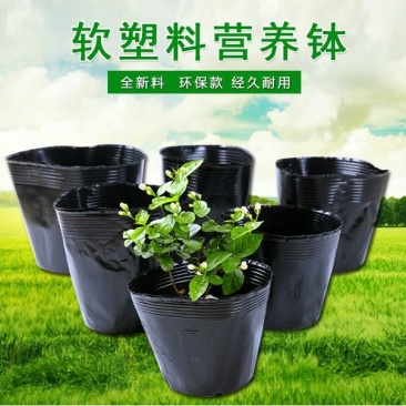 营养钵营养钵育苗袋育苗盘穴盘