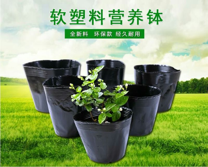 营养钵营养钵育苗袋育苗盘穴盘