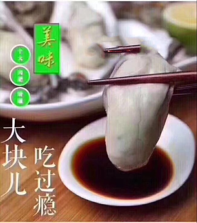 生蚝5只/斤
