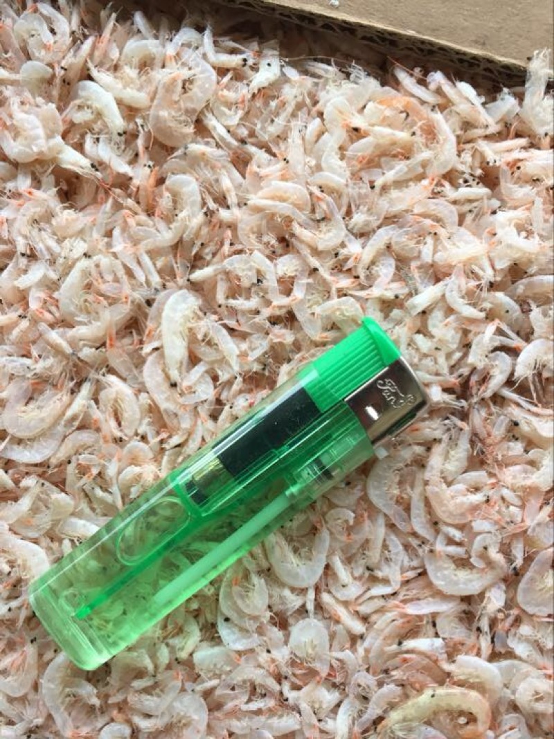 虾皮特级