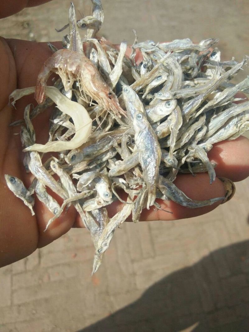 餐条鱼干日晒鱼干