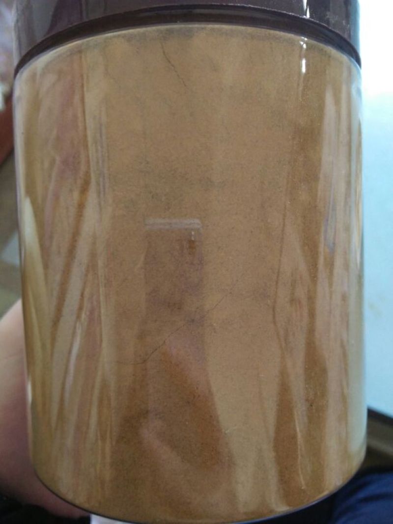 甘肃马蹄大黄粉500g包邮色泽鲜亮含量高厂家批发