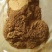 甘肃马蹄大黄粉500g包邮色泽鲜亮含量高厂家批发
