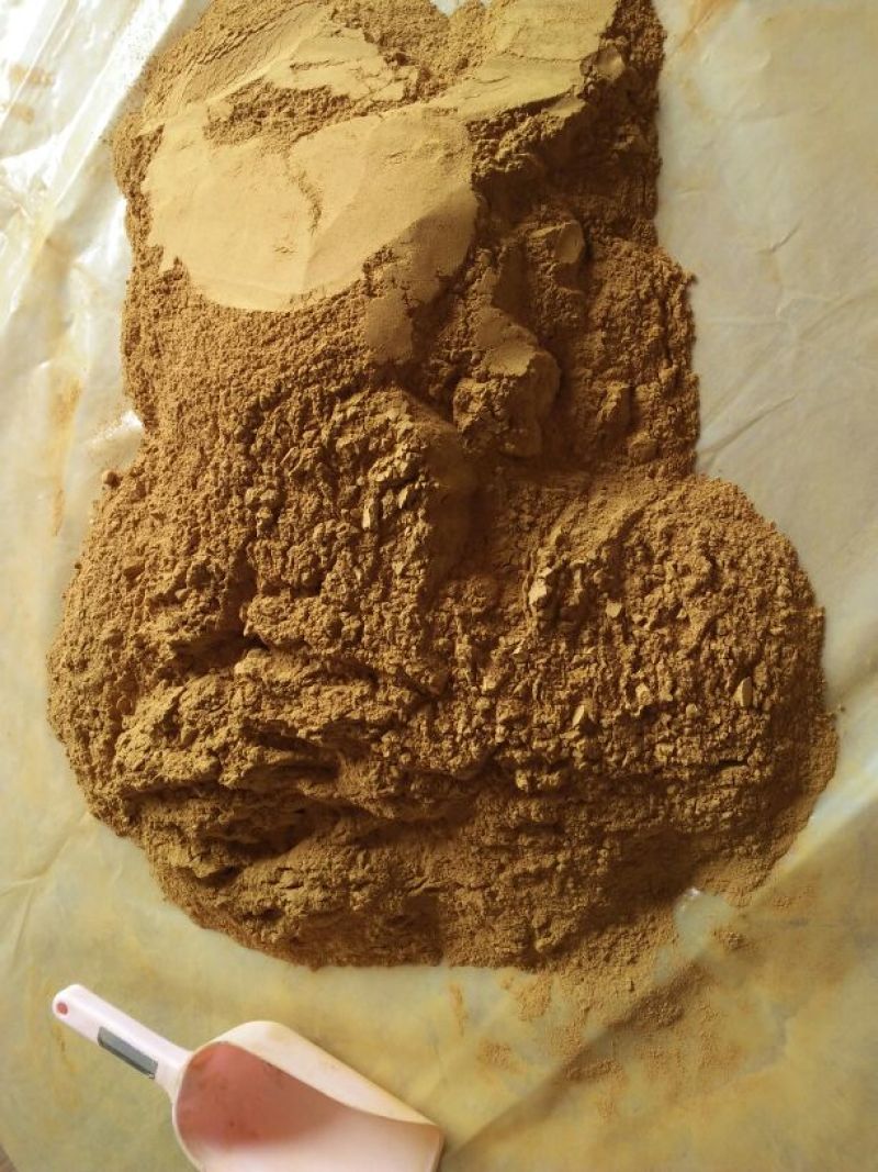 甘肃马蹄大黄粉500g包邮色泽鲜亮含量高厂家批发