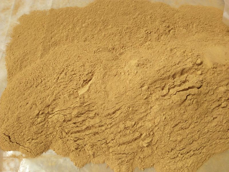 甘肃马蹄大黄粉500g包邮色泽鲜亮含量高厂家批发
