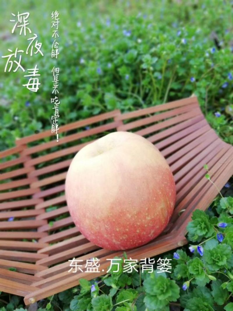 红富士苹果80mm以上膜袋