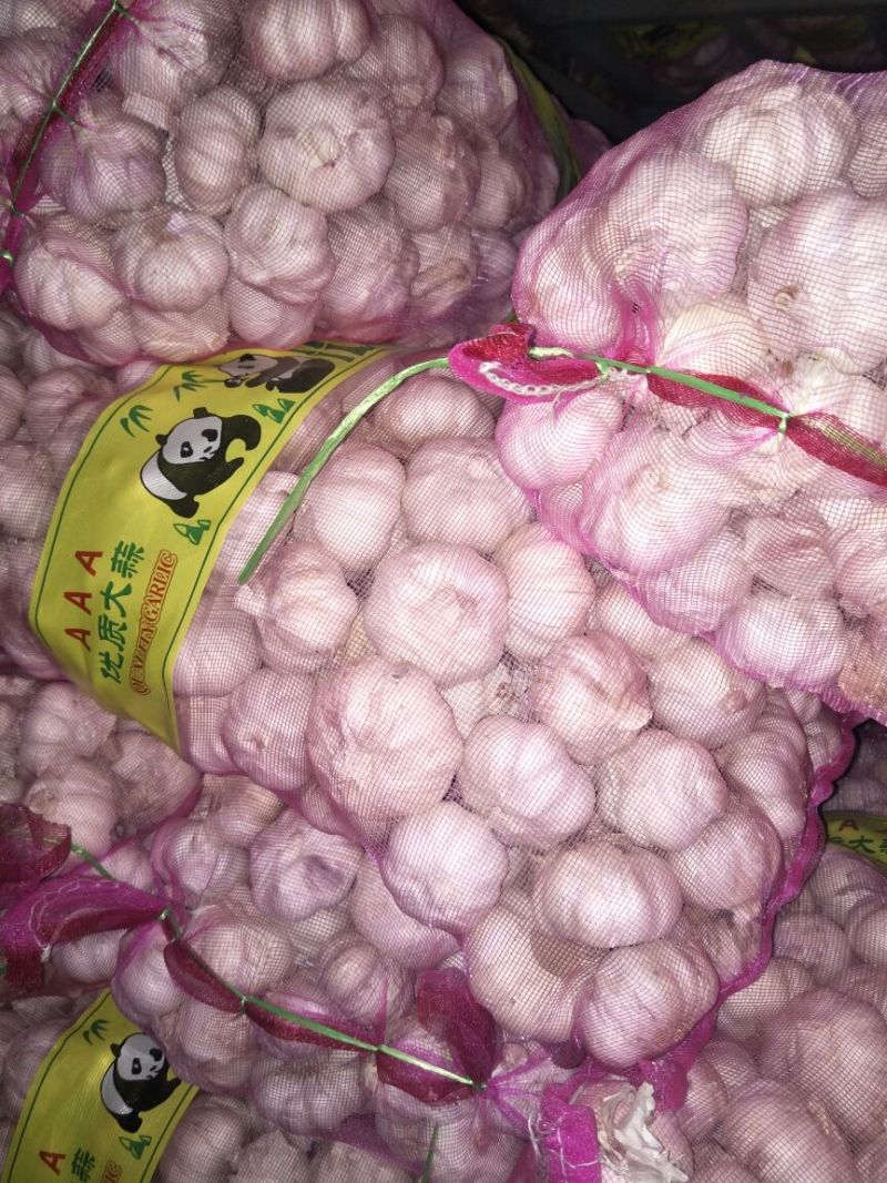中牟精品蒜扒米电商【诚信实力代办】批发量大可全国发货