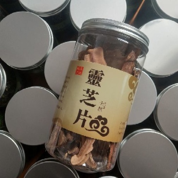 赤芝12~15公分
