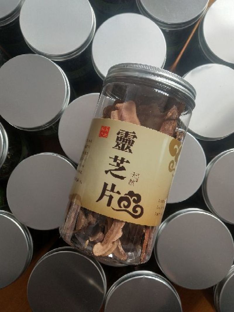 赤芝12~15公分