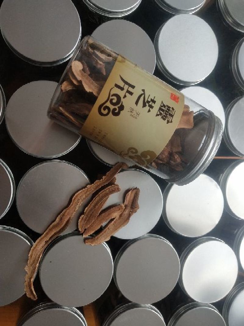 赤芝12~15公分