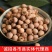 《红莲子干莲子》常年供应/产地直发//不好包退/品质保障