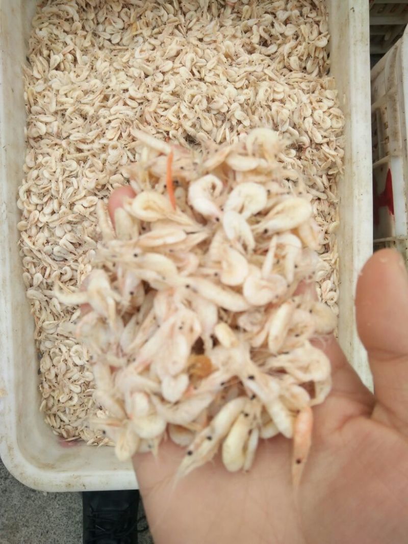 虾皮三级