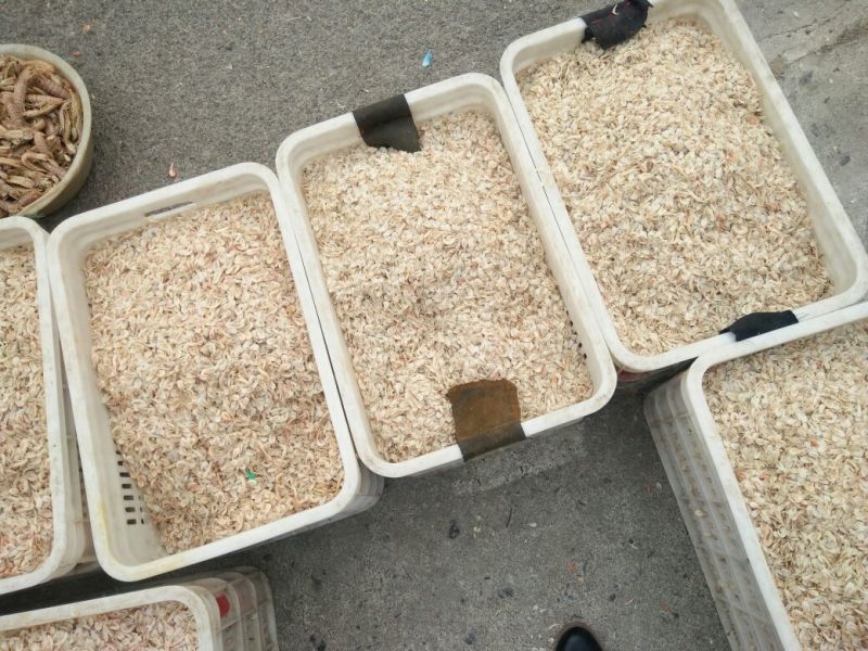 虾皮三级