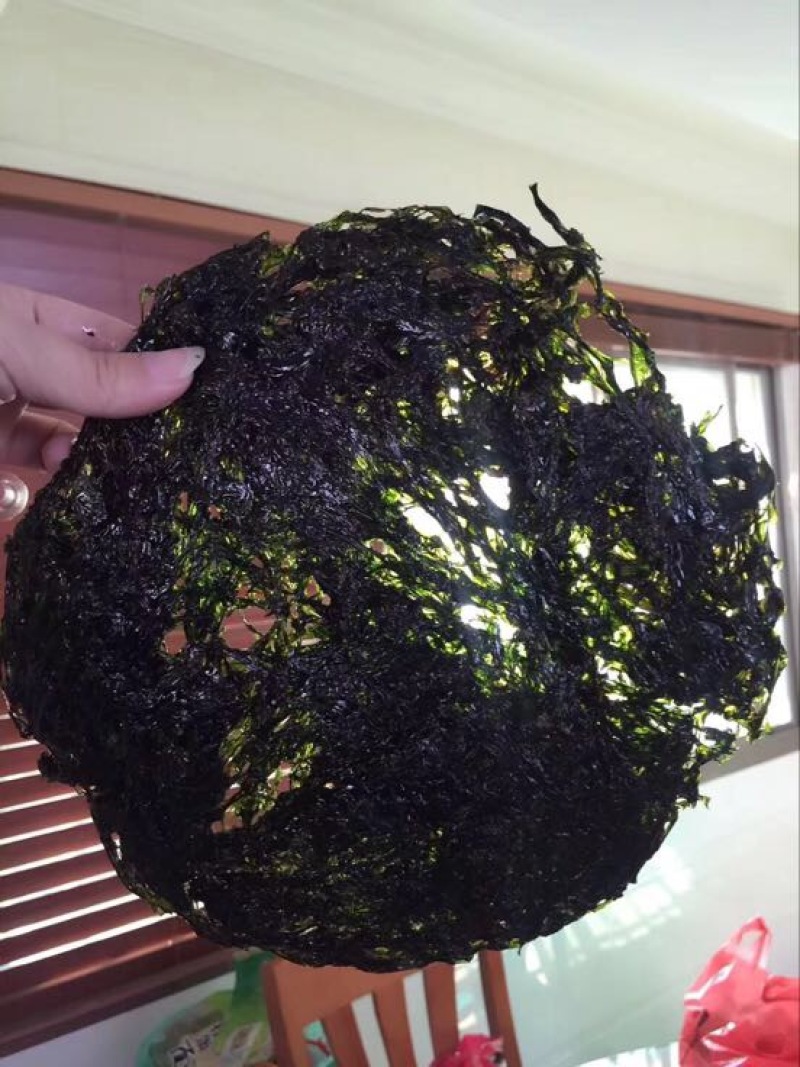 紫菜野生头水